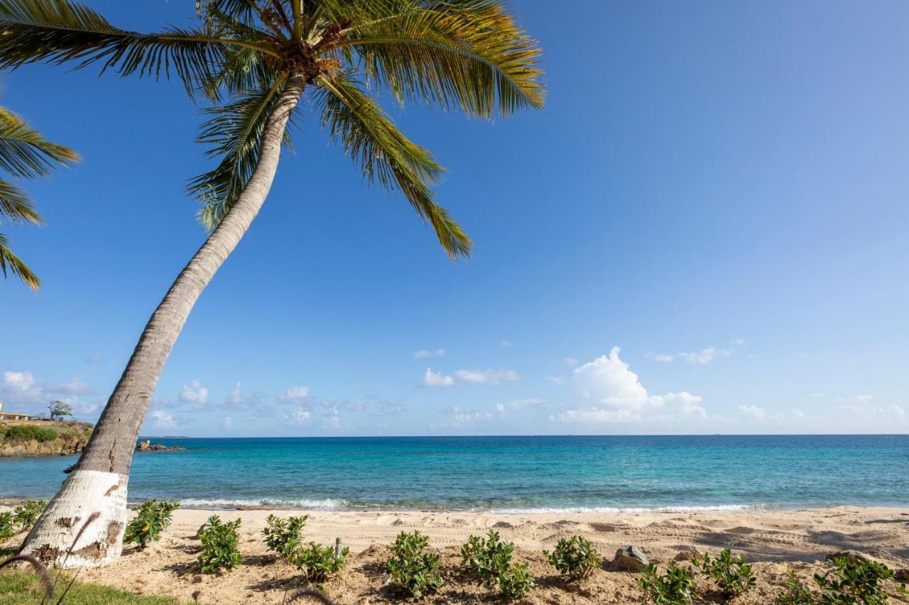 Limetree Beach Resort By Club Wyndham Bolongo Extérieur photo